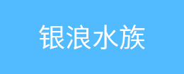振動(dòng)篩